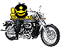 :smiley3073: